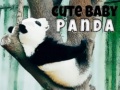 游戏Cute Baby Panda