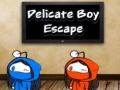 游戏Delicate Boy Escape