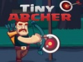 游戏Tiny Archer