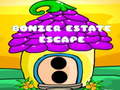 游戏Bonzer Estate Escape