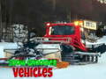 游戏Snow Groomer Vehicles