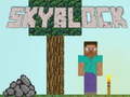 游戏Sky Block