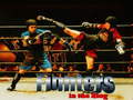 游戏Fighters in the Ring