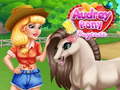 游戏Audrey Pony Daycare