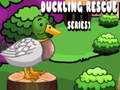 游戏Duckling Rescue Series1