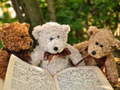 游戏Cuddly Three Teddy Jigsaw