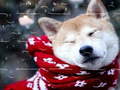 游戏Winter Pets Puzzle