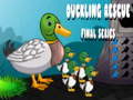 游戏Duckling Rescue Final Episode