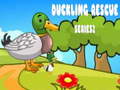 游戏Duckling Rescue Series2