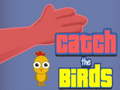 游戏Catch the Birds