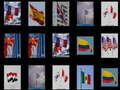 游戏Memorize the flags