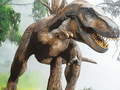 游戏Tyrannosaurus Rex Carnivore Jigsaw