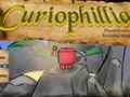 游戏Сuriophillia