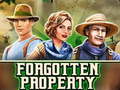 游戏Forgotten Property