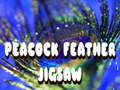 游戏Peacock Feather Jigsaw