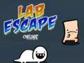 游戏Lab Escape Online
