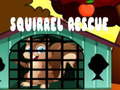 游戏Squirrel Rescue