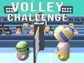 游戏Volley Challenge