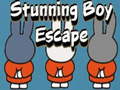 游戏Stunning Boy Escape