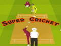 游戏Super Cricket 