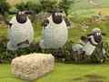 游戏Shaun the Sheep Alien Athletics