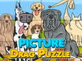 游戏Picture Drag Puzzle