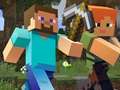 游戏Minecraft Hidden Items