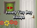 游戏Lovely Tiny Boy Escape