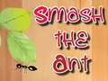 游戏Smash the Ant