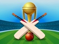 游戏Cricket Champions Cup