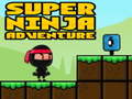 游戏Super Adventure Ninja