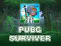 游戏PUBG Surviver