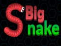 游戏Big Snake