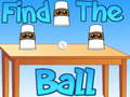 游戏Find The Ball
