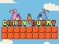 游戏Crazy Bunny