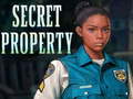 游戏Secret property