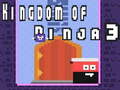 游戏Kingdom of Ninja 3
