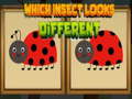 游戏Which Insect Looks Different