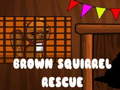 游戏Brown Squirrel Rescue