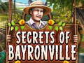 游戏Secrets of Bayronville
