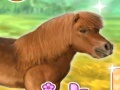 游戏My Dear Pony
