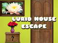游戏Lurid House Escape