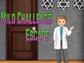 游戏Amgel Mild Challenge Escape