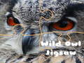 游戏Wild owl Jigsaw