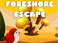 游戏Foreshore Escape