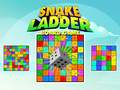 游戏Snake and Ladder Board Game