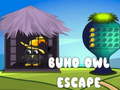 游戏Buho Owl Escape