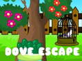 游戏Dove Escape