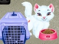 游戏Baby Taylor Pet Care