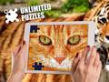 游戏Unlimited Puzzles
